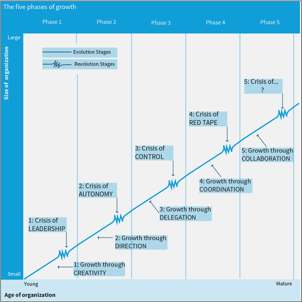 The company lifecycle